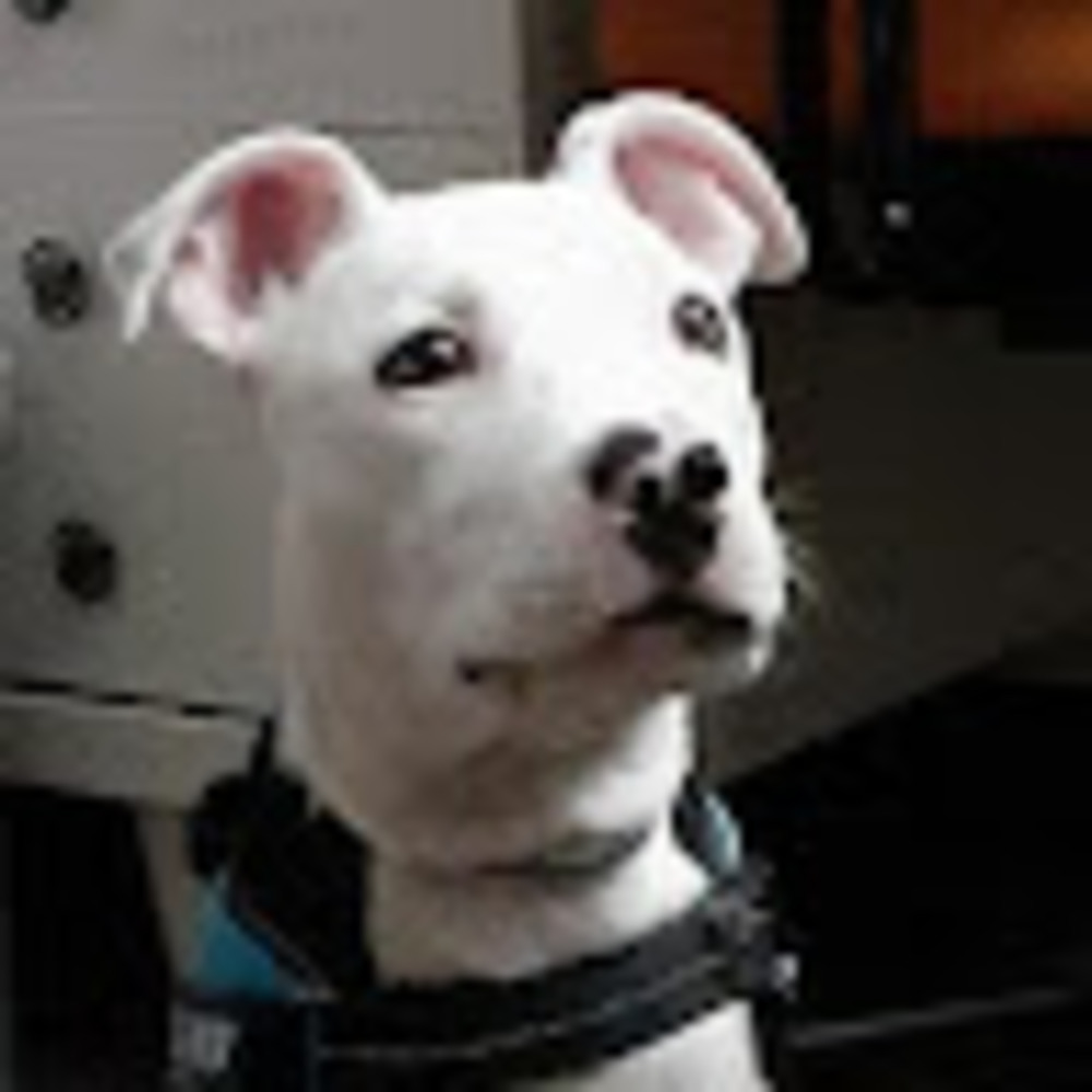 Meet your Posher, Anita